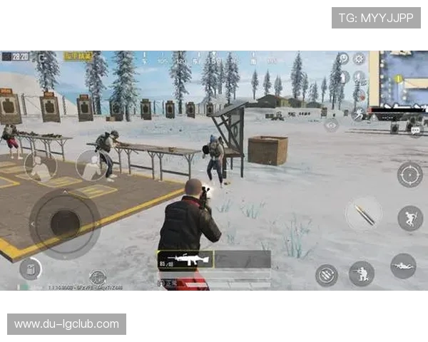 全面解析和平精英足球衣全部款式与获取途径指南更多实用技巧分享